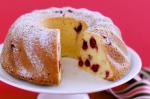 American Cranberry Cheese Cake Recipe Dessert