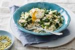 American Brown Rice With Kale and Feta With Poached Egg Recipe Dinner