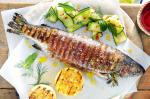 Canadian Prosciuttowrapped Trout With Cured Zucchini Salad Recipe Dinner