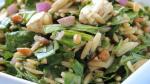 Canadian Spinach and Orzo Salad Recipe Appetizer