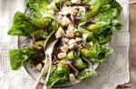 Cos And Lentil Salad Recipe recipe