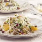Italian Fennel and Orange Salad Recipe Appetizer