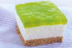 American Jelly Cheesecake Slice Recipe Dessert