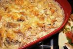 American Chicken Tetrazzini 60 Dinner