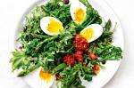 Canadian Kale Broccolini Asparagus And Egg Salad Recipe Breakfast