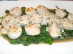 Canadian Scallops With Tarragon Cream and Wilted Butter Lettuce Appetizer