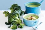 Swiss Broccoli Soup With Swiss Cheese Toasts Recipe Appetizer
