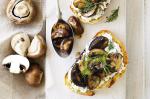Swiss Garlic Mushrooms With Dill Ricotta Recipe Appetizer