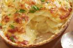 Swiss Potato Gratin Recipe 9 Appetizer