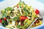Thai Thai Chicken Salad Recipe 3 Appetizer