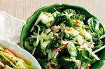 American Broccoli With Waldorf Salad Recipe Appetizer