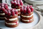 American Raspberries and Cream Chocolate Cakes Recipe Dessert