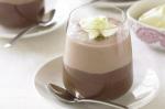 American Twotone Chocolate Mousse Recipe 1 Dessert