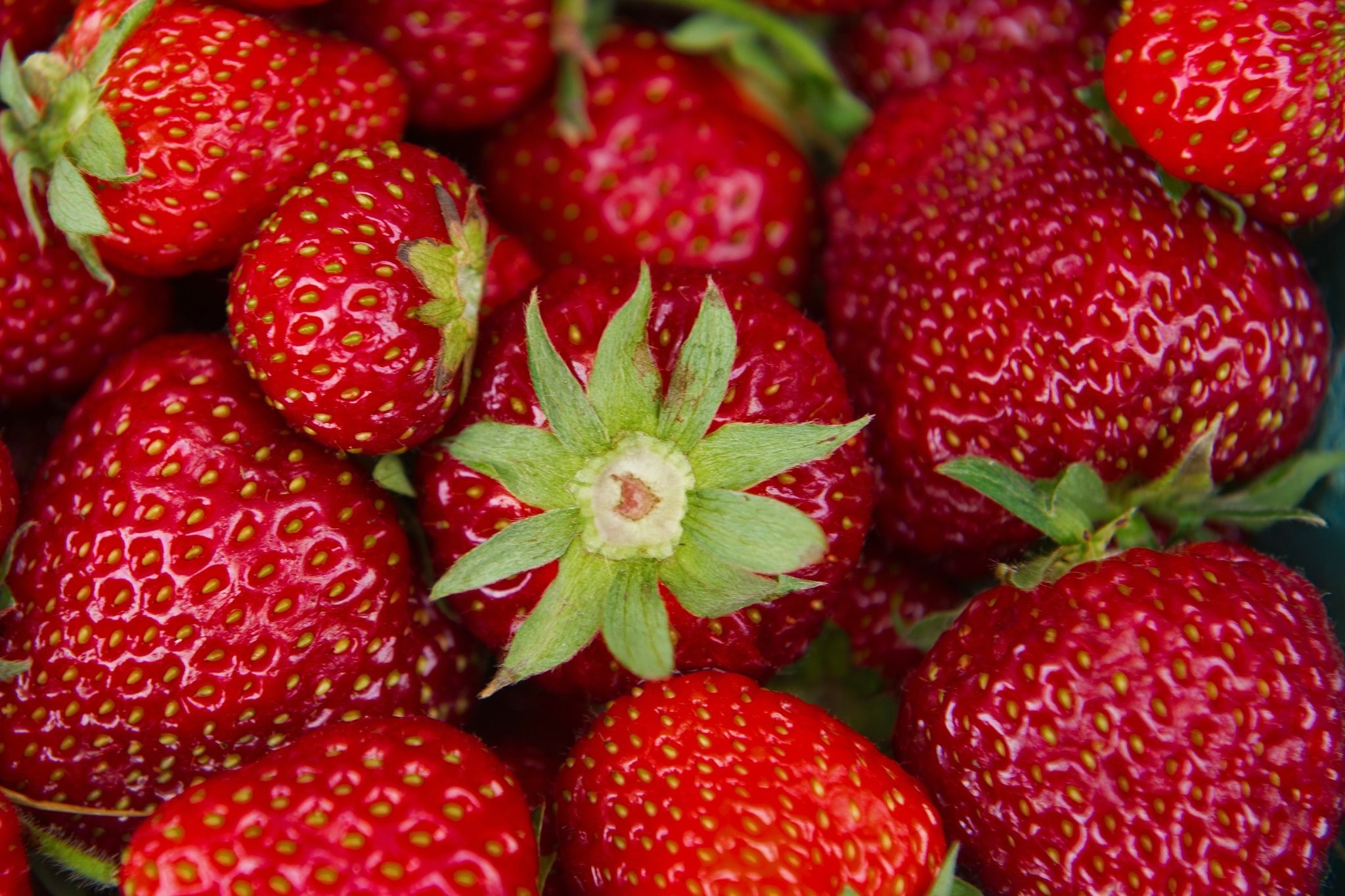 Swedish Strawberries With Swedish Cream Recipe Dessert