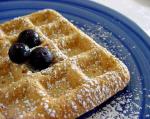 American Oatmeal Waffles or Pancakes 4 Breakfast