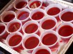 American Berry Sour Apple Jello Shots Dessert