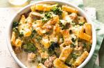 Canadian Chicken Mac And Cheese Recipe 2 Appetizer