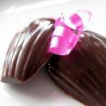 French Madeleines of Chocolate Dessert