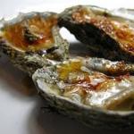 American Grilled Oysters with Fennel Butter Recipe BBQ Grill