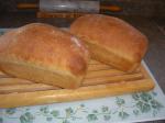 American Bread Machine Buttermilk Bread Appetizer