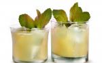 British Mojito Margarita Recipe Drink