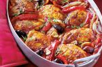 French Chicken Provencale Recipe 1 Appetizer