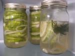 American Dill Refrigerator Pickles Appetizer