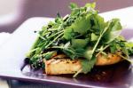 Canadian Marinated Tofu Steaks With Rocket Salad Recipe Appetizer