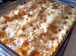 American Baked Butternut Squash Raisin and Pine Nut Lasagna Dinner