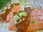 American Grilled Salmon With Peanut Hoisin Sauce Appetizer