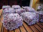 American Lucys Lamingtons Dessert