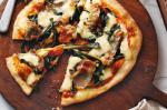 American Chicory Pancetta and Chilli Pizza Recipe Appetizer