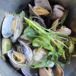 American Clams to the Cider Appetizer