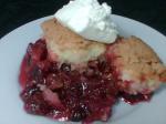 Chilean Cranberry Cobbler 1 Dessert