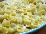 American Macaroni  Cheese  Low Cholesterol Dinner