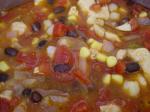 Spanish Chicken Tortilla Soup 42 Appetizer