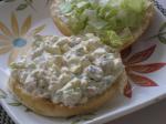 American Chicken Egg Salad Other