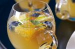 American Ginger Blueberry And Pineapple Punch Recipe Appetizer