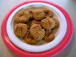 Canadian No Flour Peanut Butter Cookies 1 Appetizer