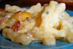American Macaroni  Cheese  Easy and Cheesy Appetizer