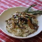 Italian Risotto Dishes with Mushrooms Forest Appetizer