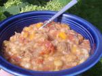 American Vegetablebeef Barley Soup crock Pot Dinner