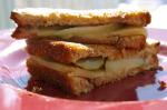 American Grilled Cheese Pickle and Vidalia Onion Sandwich Appetizer