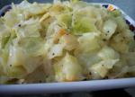 Dutch Knabrus  Cabbage With Onions Appetizer