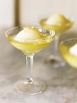 British Lemon and Elderflower Sorbet Appetizer