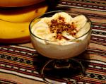 American Shikarni  Cinnamonflavored Banana Yogurt Dessert