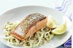 American Crispy Skinned Salmon With Fennel Remoulade Recipe Appetizer