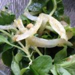 Field Salad with Onion Vinaigrette recipe