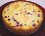 American Lowsugar Blueberry Cheesecake Other