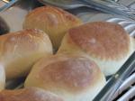 American Parker House Rolls 14 Appetizer